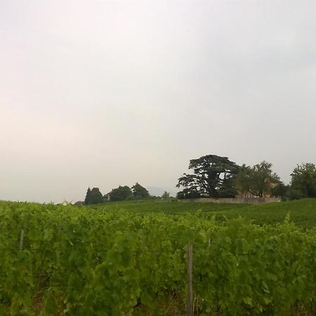 Chateau La Violette Les Marches Εξωτερικό φωτογραφία