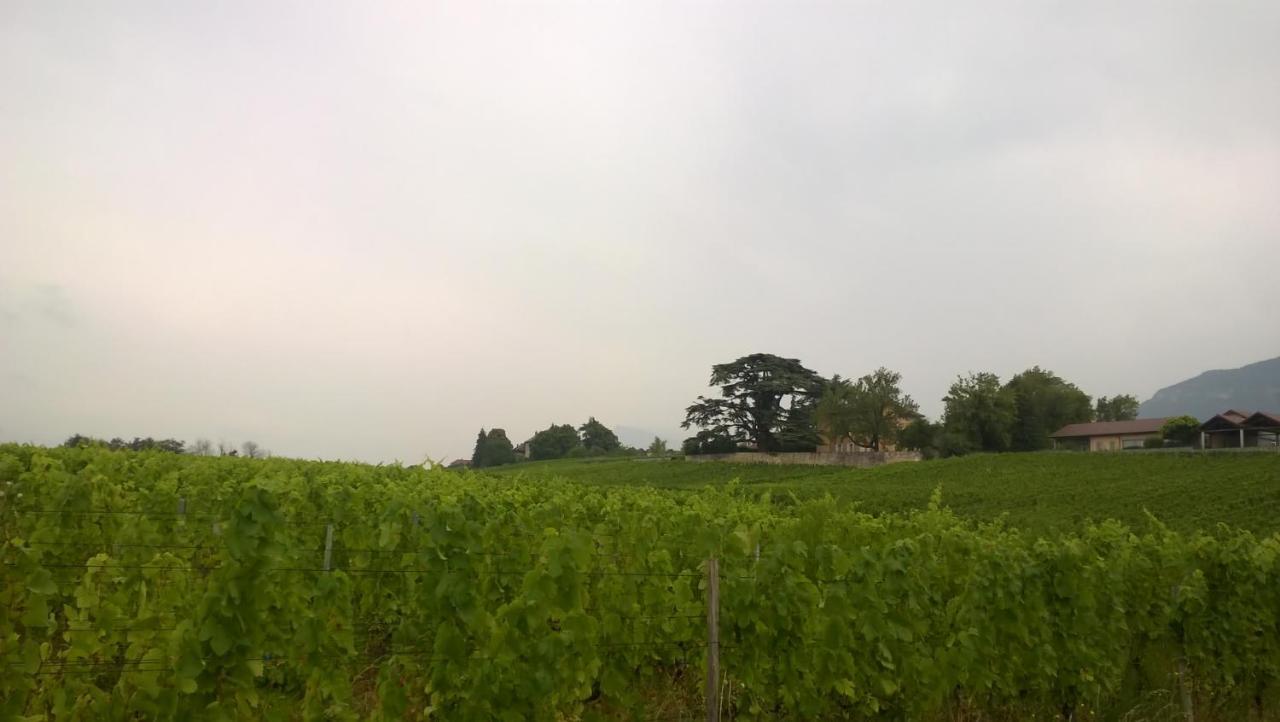 Chateau La Violette Les Marches Εξωτερικό φωτογραφία